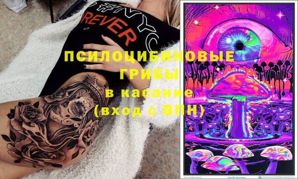 спайс Липки