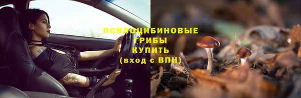 спайс Липки